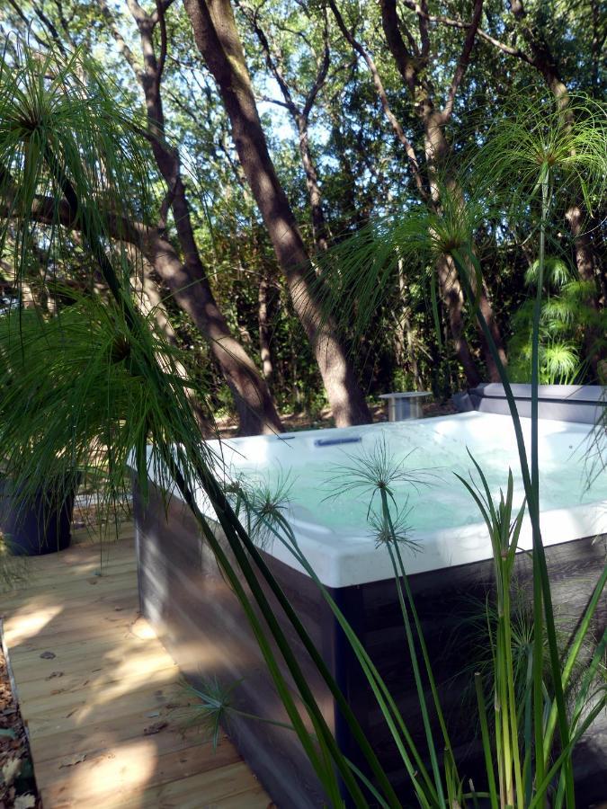 Le Predaiou Bed & Breakfast La Garde Adhemar Bagian luar foto